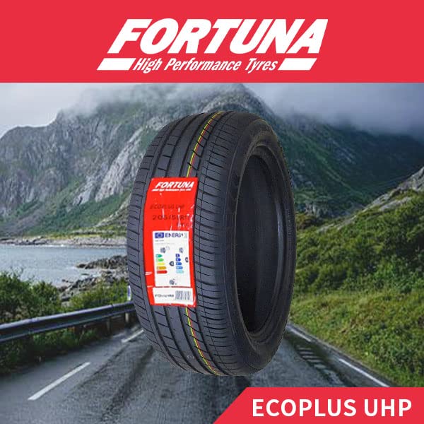 Amazon.co.jp: Fortuna EcoPLUS UHP 205/55R17 Summer Tires, 95W, Set